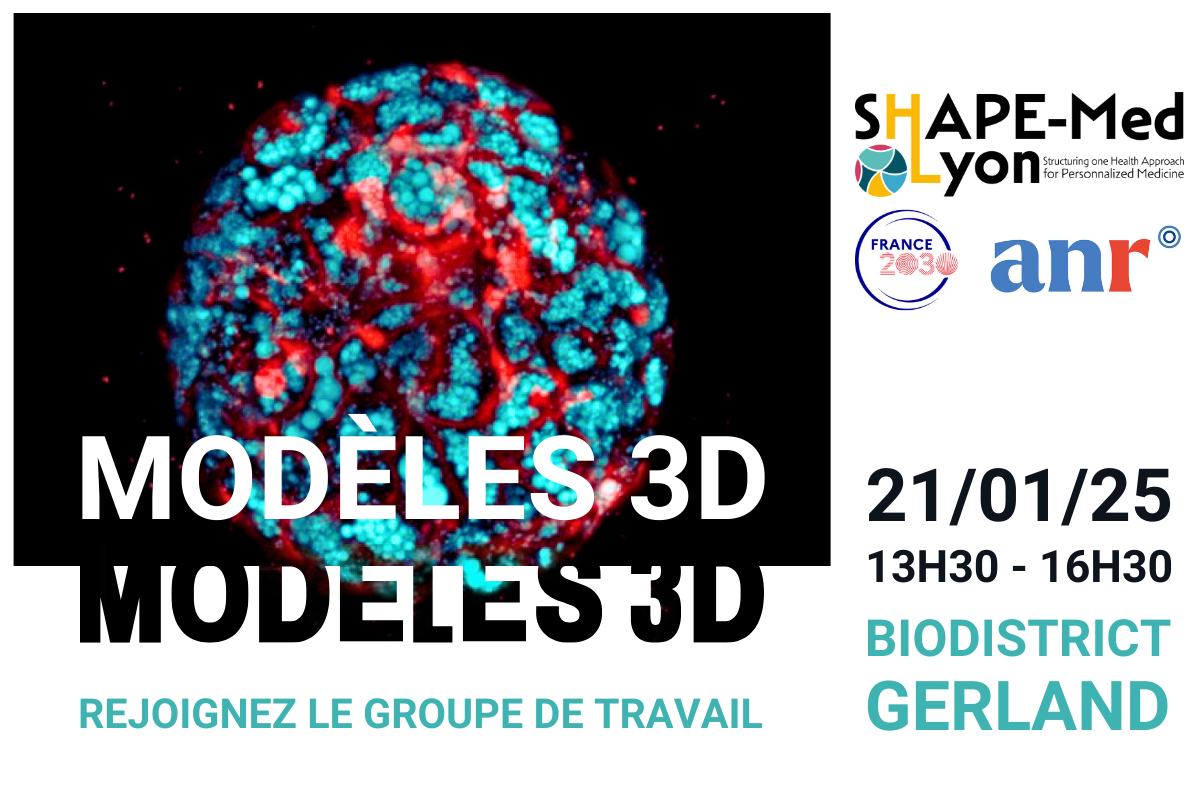 modeles-3d-janvier-2025